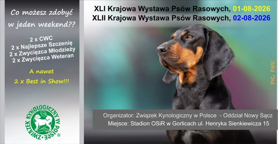 Grafika promocyjna wydarzenia 41. i 42. Krajowa Wystawa Psów Rasowych – Gorlice