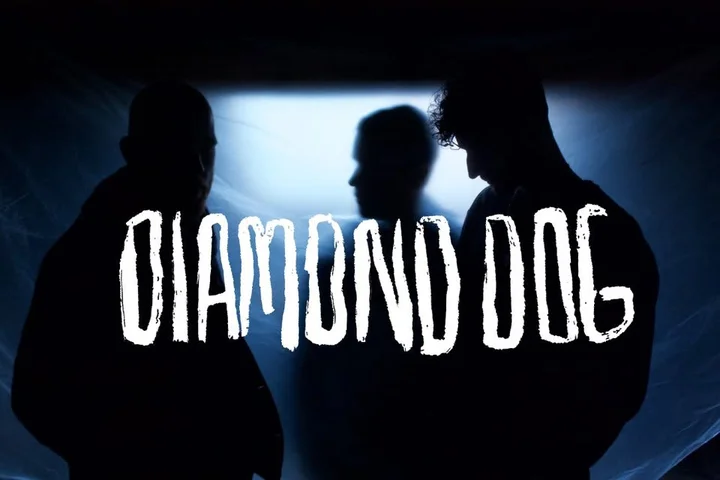 Obrazek przedstawia grafikę promocyjną wydarzenia Koncert zespołu Diamond Dog — muzyka łącząca punk, elektronikę i teatralny wokal