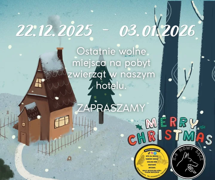 Grafika promocyjna wydarzenia Święta w 4Pets Nowy Sącz