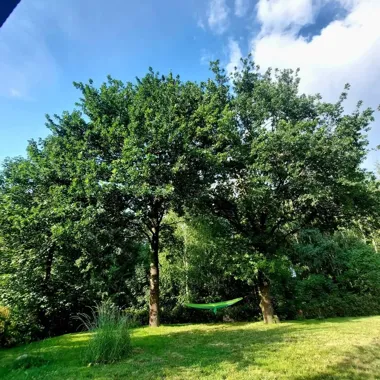 Grafika promocyjna wydarzenia Czy Twoja intuicja ma korzenie? — Warsztat dla Kobiet (Leśna Zonia)