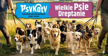 Grafika promocyjna wydarzenia WIELKIE PSIE DREPTANIE — spacer i spotkanie psów na Rynku w Nowym Sączu