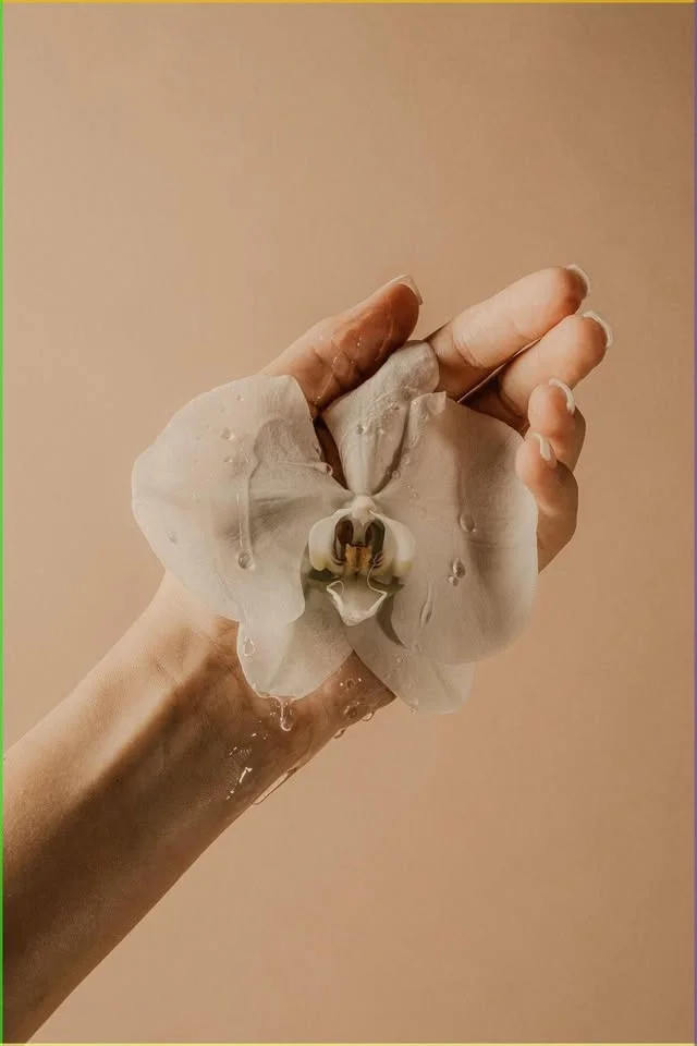 Grafika promocyjna wydarzenia Trening Dna Miednicy BeBo — cykl 7 spotkań w Nowym Sączu