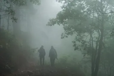 „Pieśni lasu” w SOKOLE - rodzinny seans blisko natury