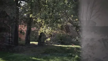 Małopolska na sześciu ekranowych tropach. Filmy zobaczymy w Nowym Sączu