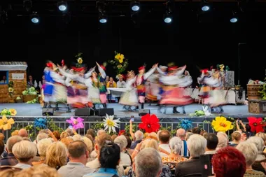 Kapusta, muzyka i taniec - Sądecczyzna zagrała w amfiteatrze