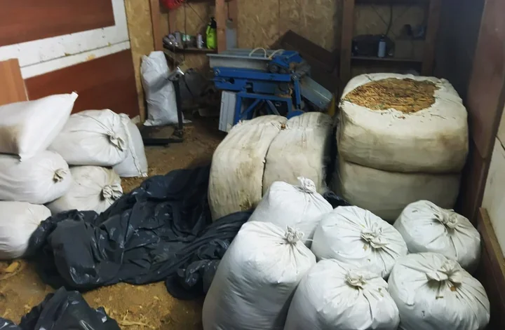 Maszyna do papierosów i setki kilogramów tytoniu. Akcja policji w Nowym Sączu