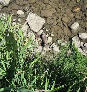 Pocisk moździerzowy nad Dunajcem. Saperzy zabrali go z Marcinkowic