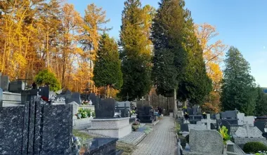 Cmentarze przed Wszystkimi Świętymi. Policja ostrzega przed kradzieżami