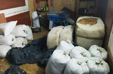 Maszyna do papierosów i setki kilogramów tytoniu. Akcja policji w Nowym Sączu